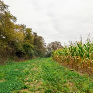 Parcel 4: 52.0 Acres