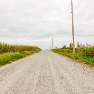 Parcel 6: 163.6 Acres