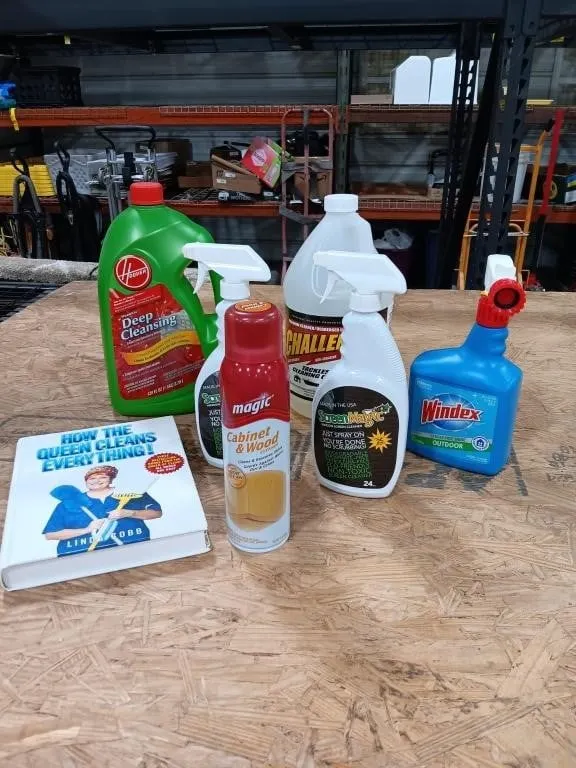 How to clean everything book & cleaners
