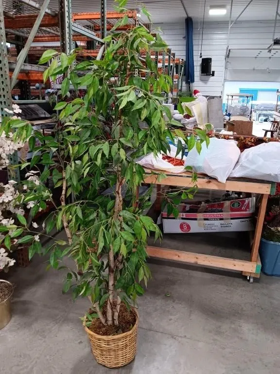 Artificial tree. Approximately 6.8ft tall.