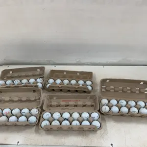 5 Dozen Titlist Golf Balls