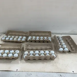 5 Dozen Titlist Golf Balls
