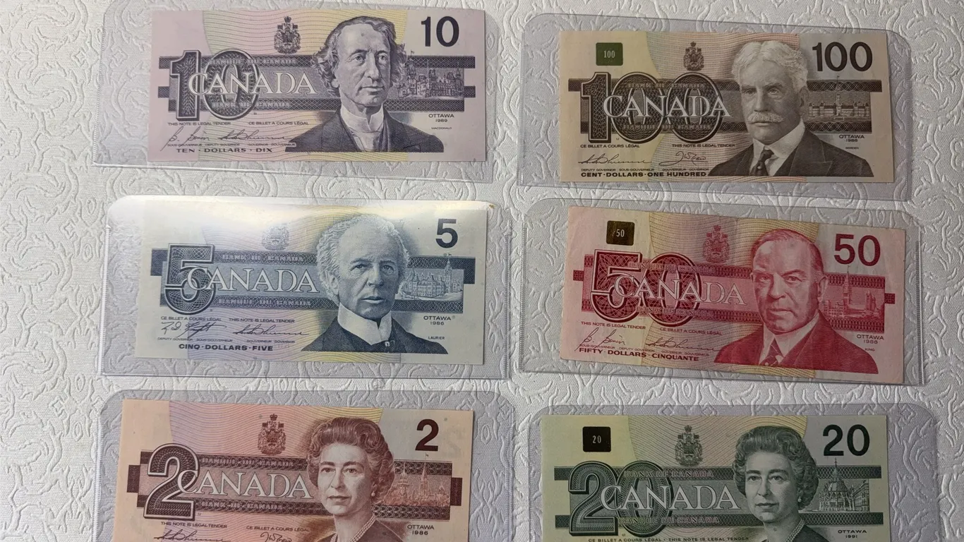 Bird Note Set
