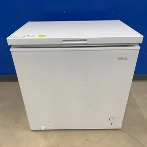 Apartment Size Deep Freeze
