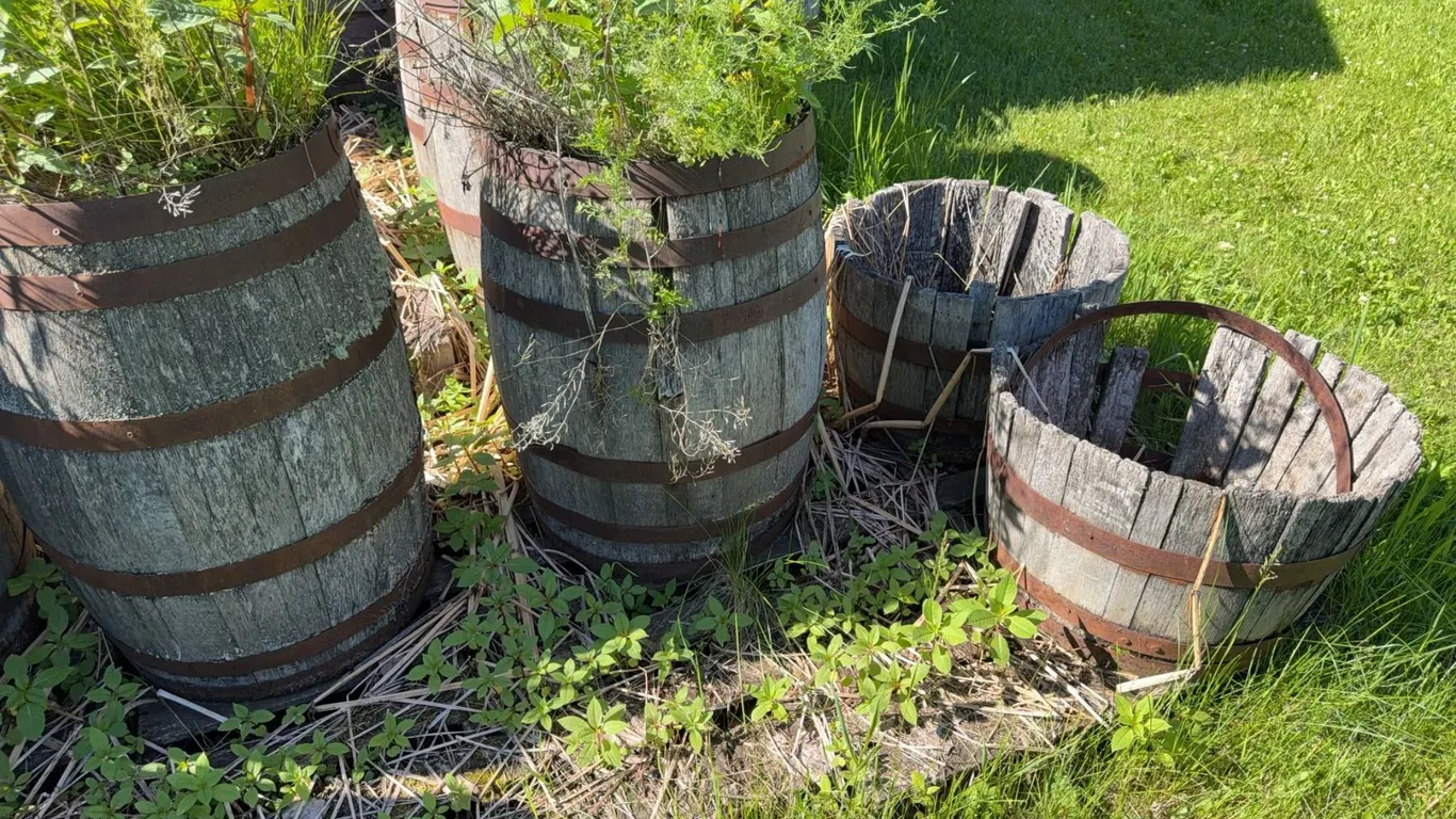 Wooden Barrels and Buckets with Metal Bands