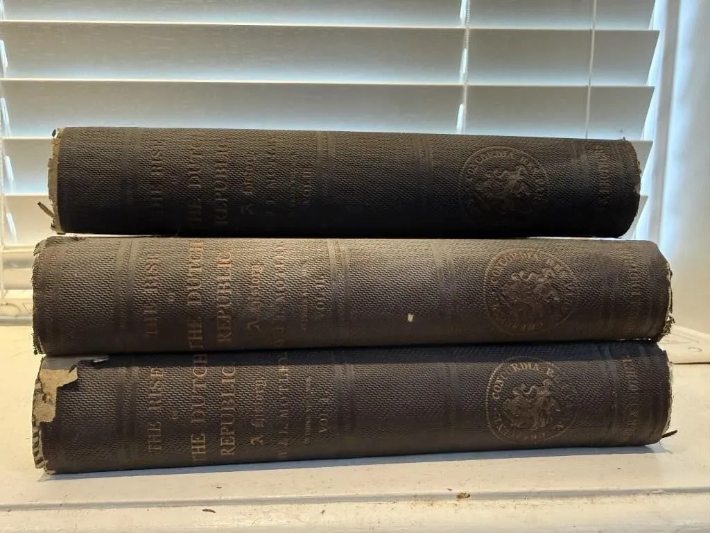 1870's 1st edition The Rise of the Dutch