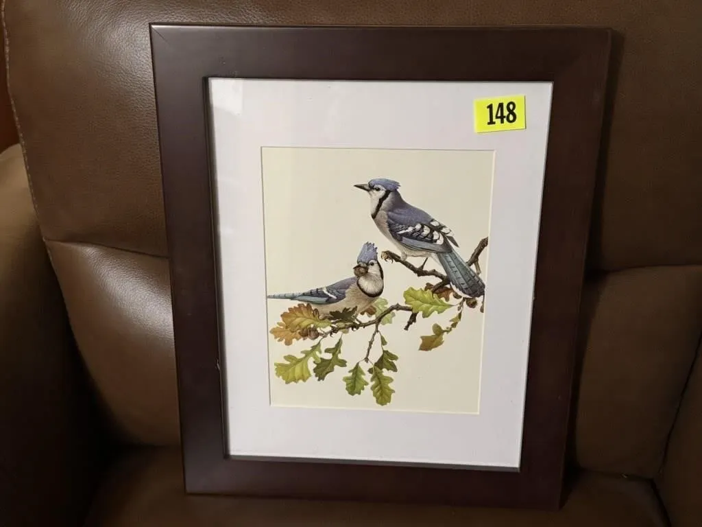 Blue jay artwork
