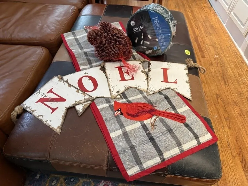 Christmas LED lights, NOEL banner, cardinal