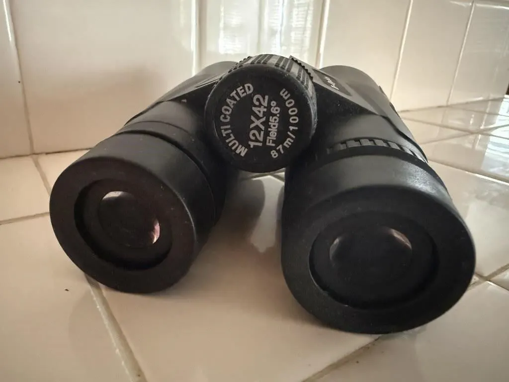 Pair of binoculars, soft case