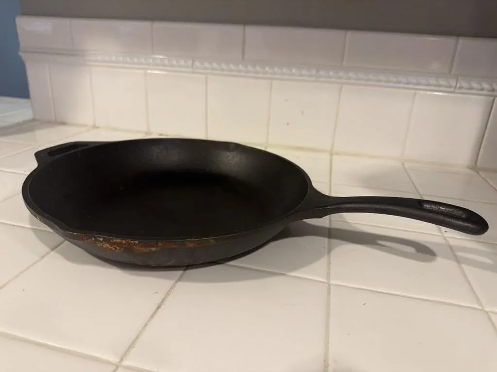 Lodge cast iron skillet