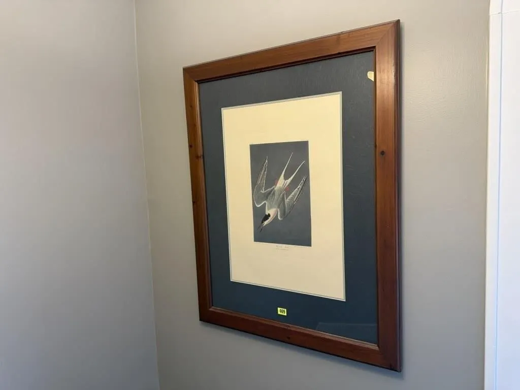 Bird artwork