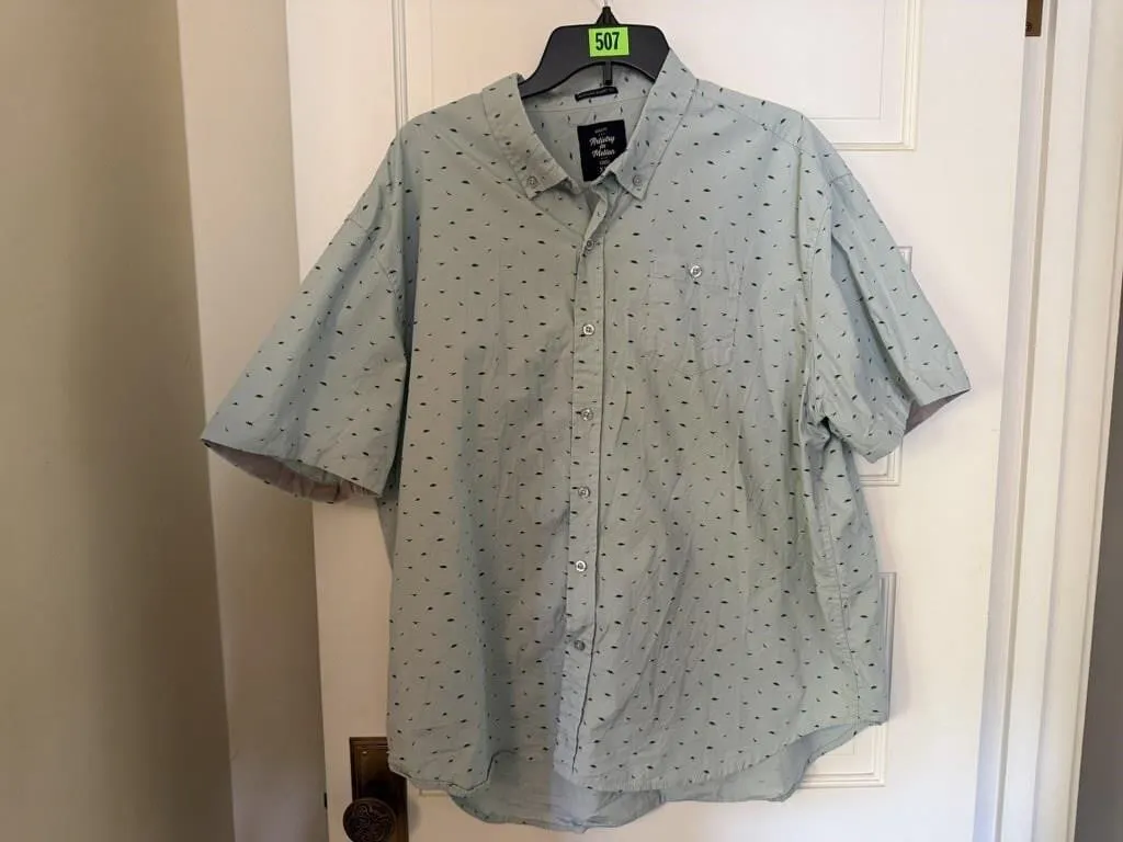 Artistry in Motion dinosaur short sleeve shirt