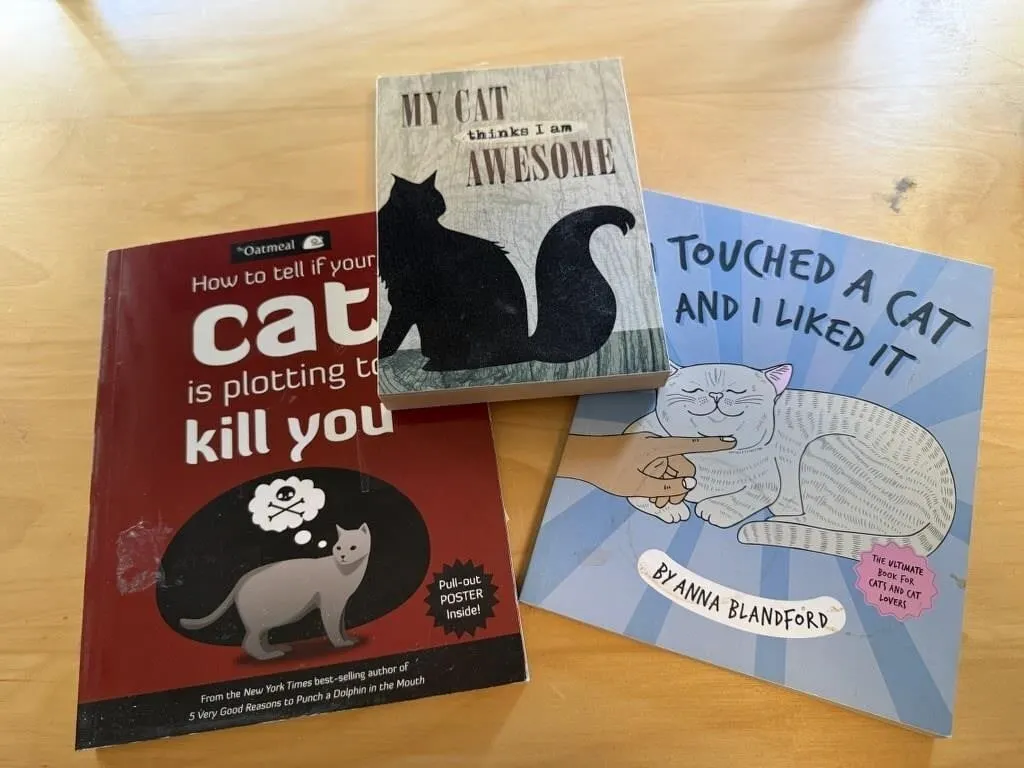 Cat wall decor, books