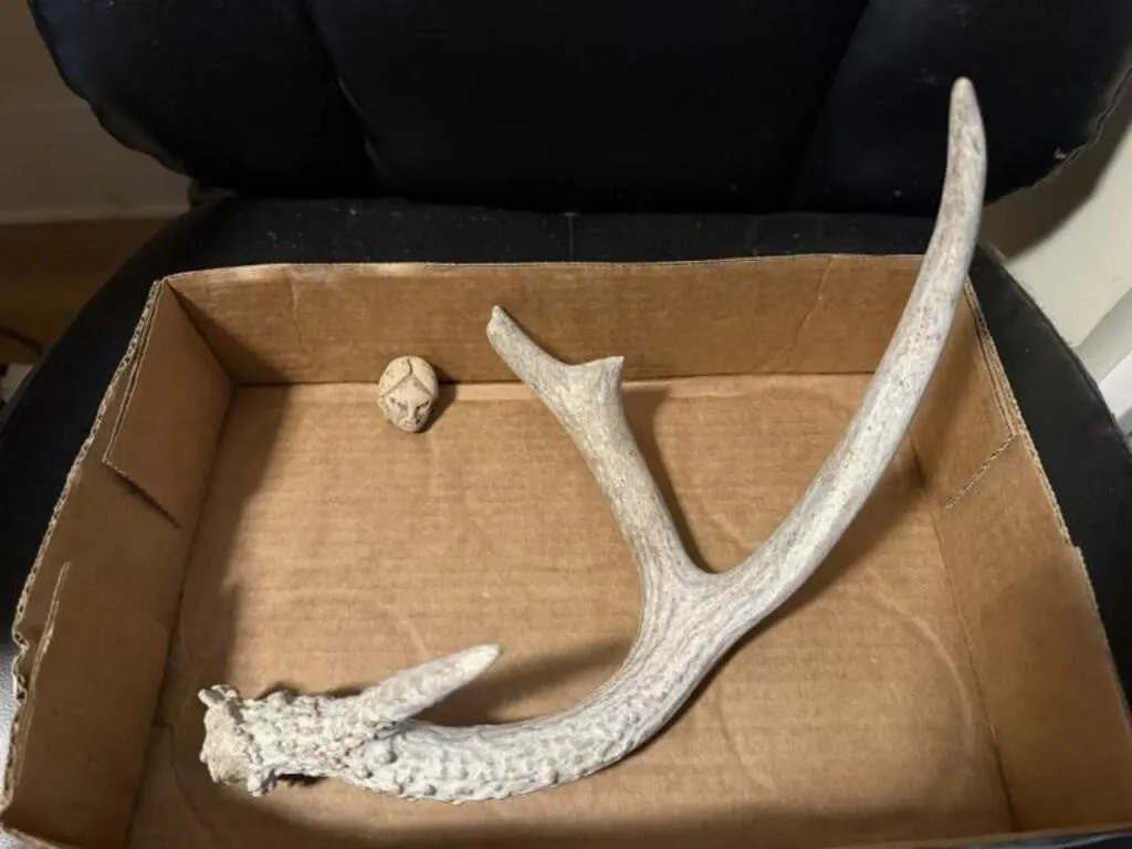 Deer shed, stone carving