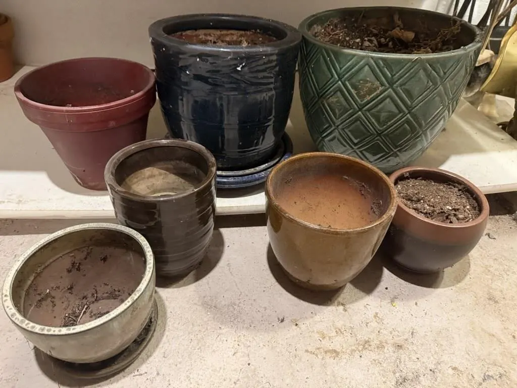 Shelf of flower pots