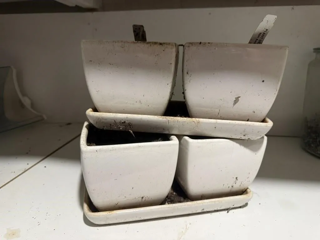 White planter sets (2)