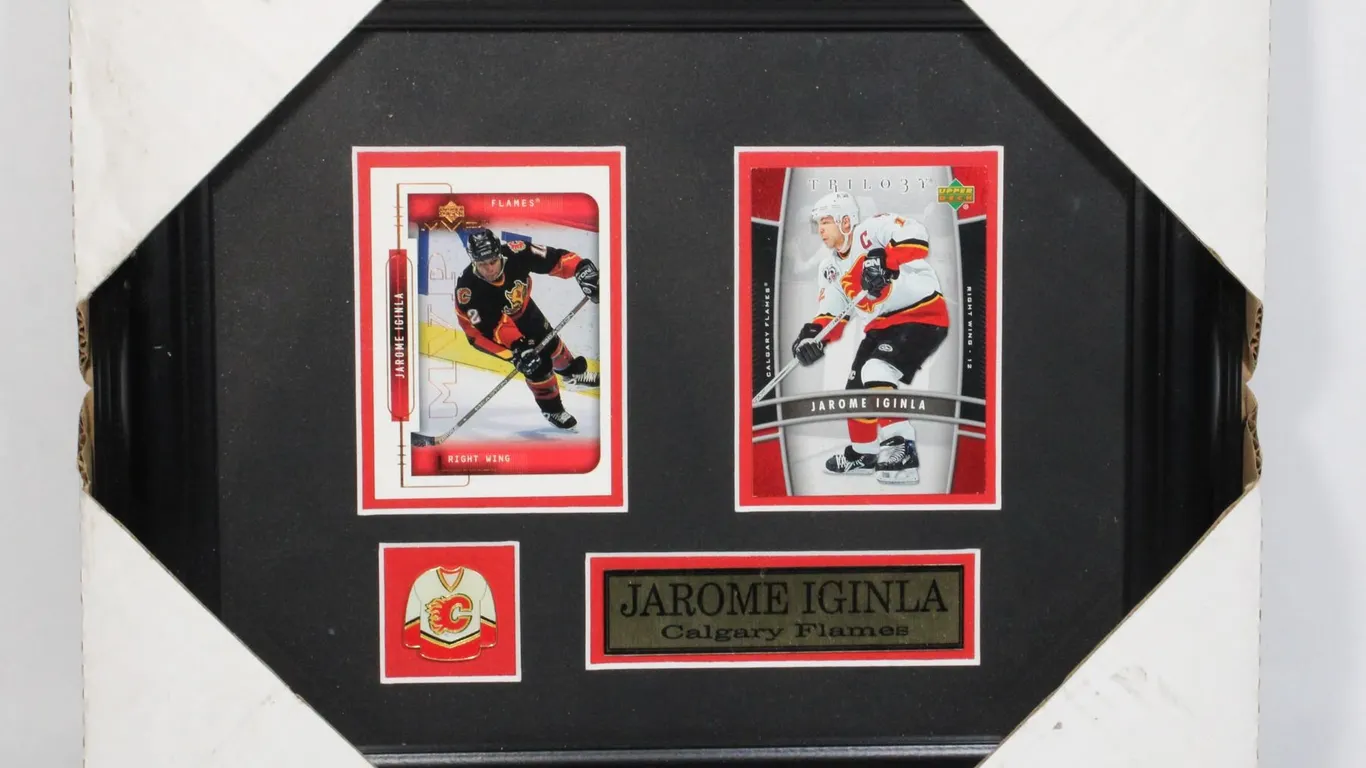 #256 Framed Calgary Flames Jarome Iginla Hockey
