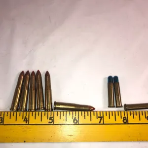22 Hornet “6 Rounds” 3 Rounds Bird Shot 22?