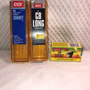 22 Ammo