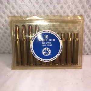 30-06 Ammo 4 Rounds