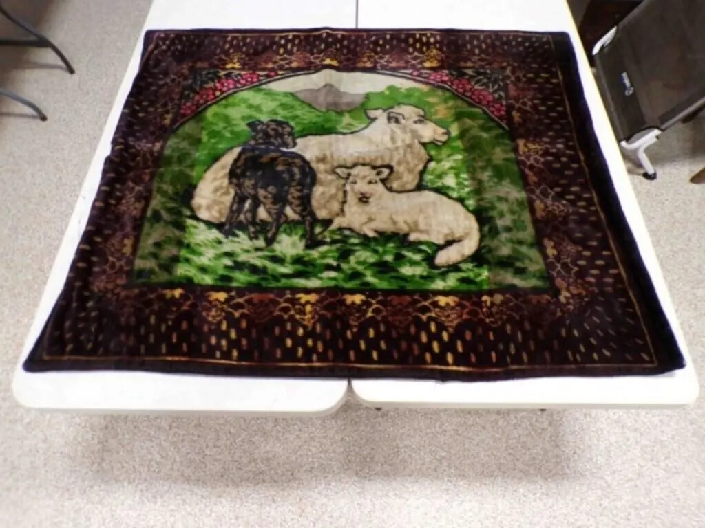 Authentic Antique Carriage Lap Blanket by LC Chase