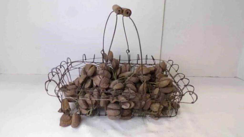 Vintage Wire Bird Basket Filled w/Faux Brazil Nuts