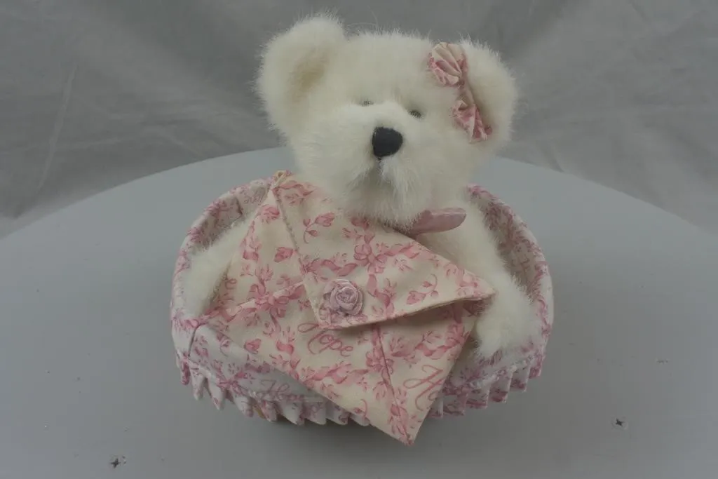 2008 Horizon of Hope Basket Featuring Boyds Bear