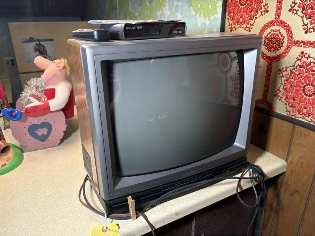 Magnavox TV