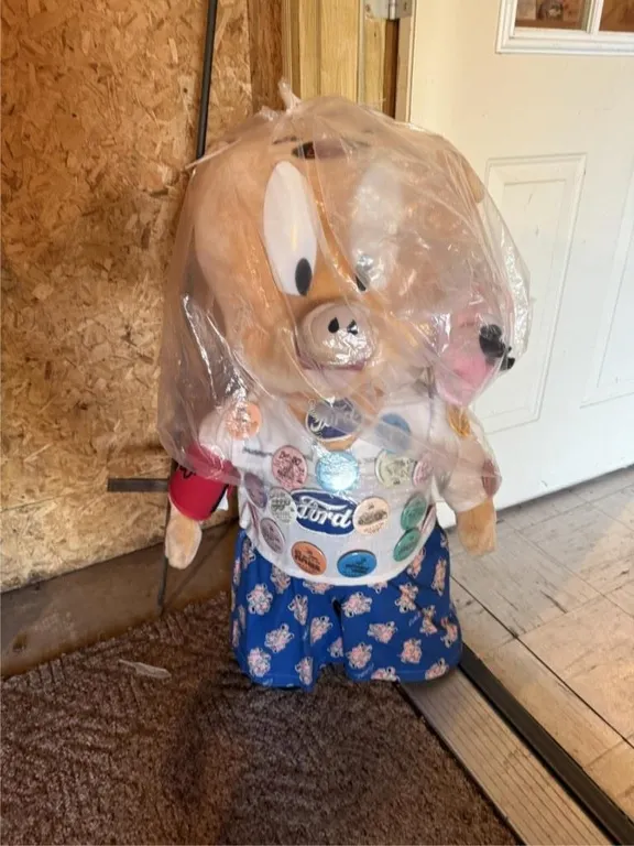 Ford Pig