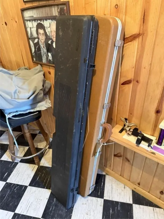 (2) Hard Gun Cases