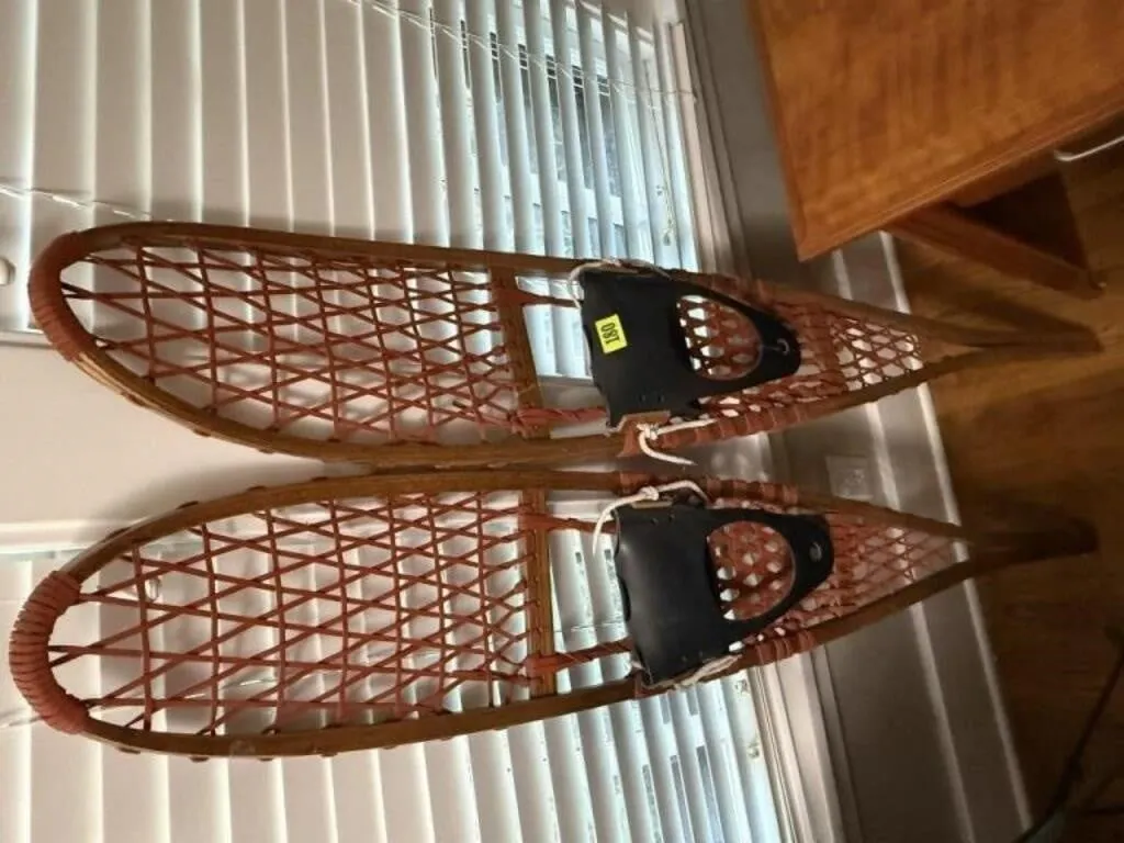 Pair of snowshoes