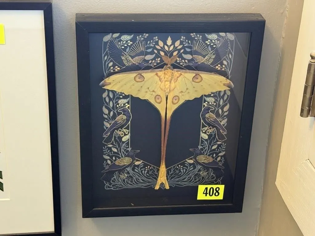 Moth artwork