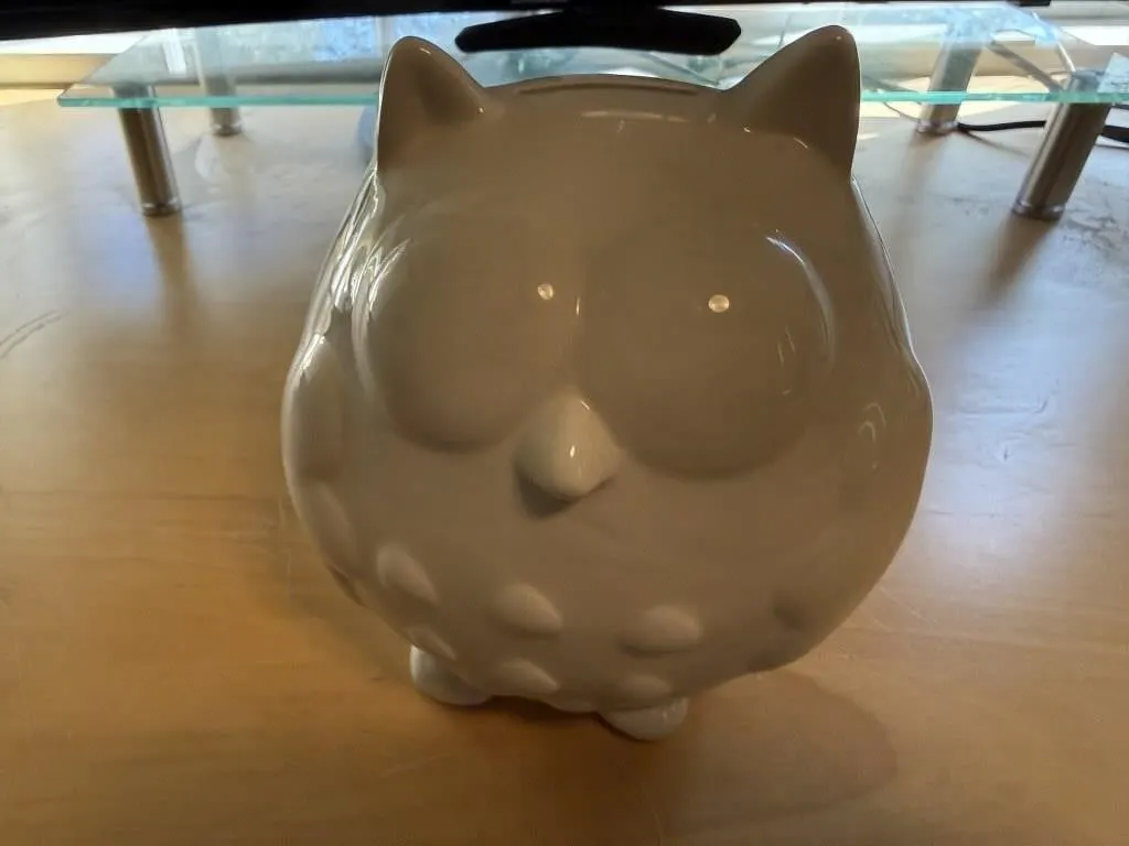 Owl bank