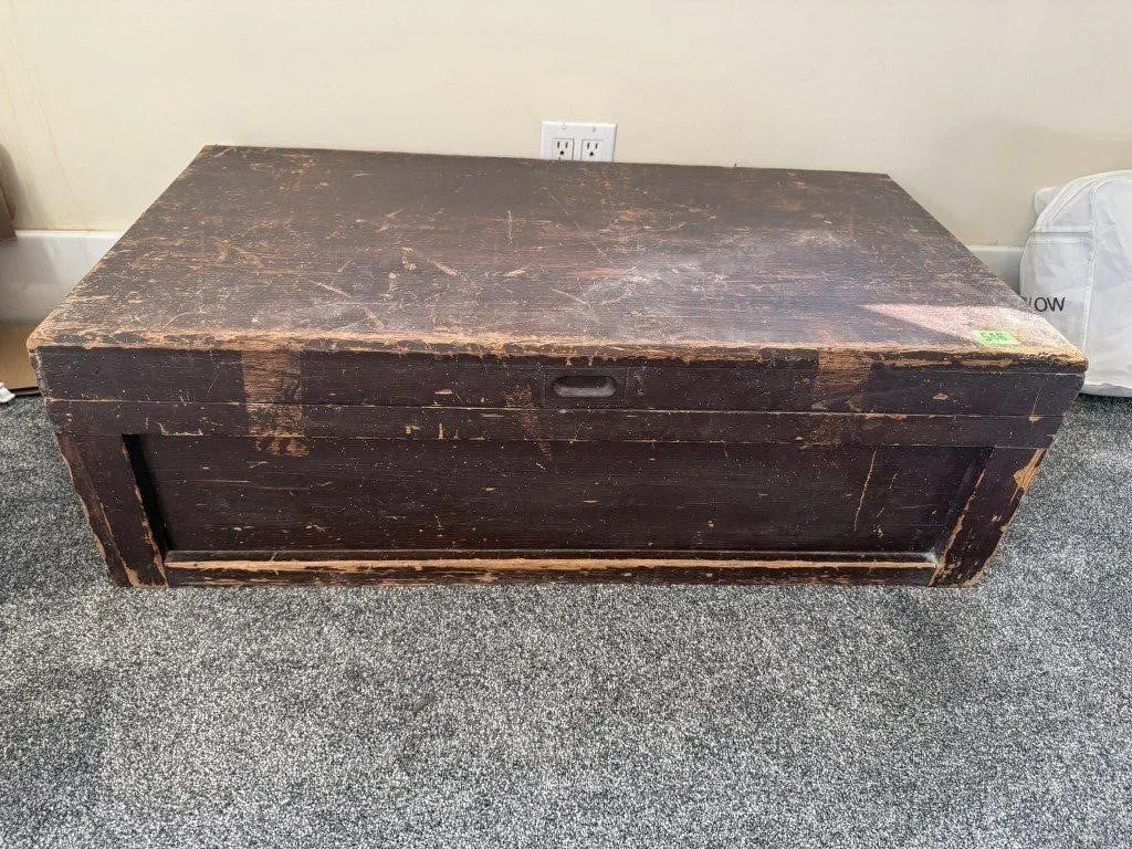 Primitive trunk