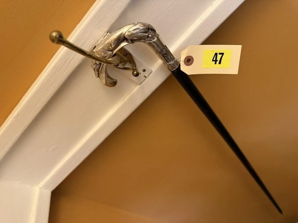 Greyhound cane