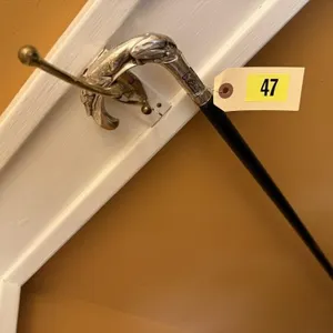 Greyhound cane