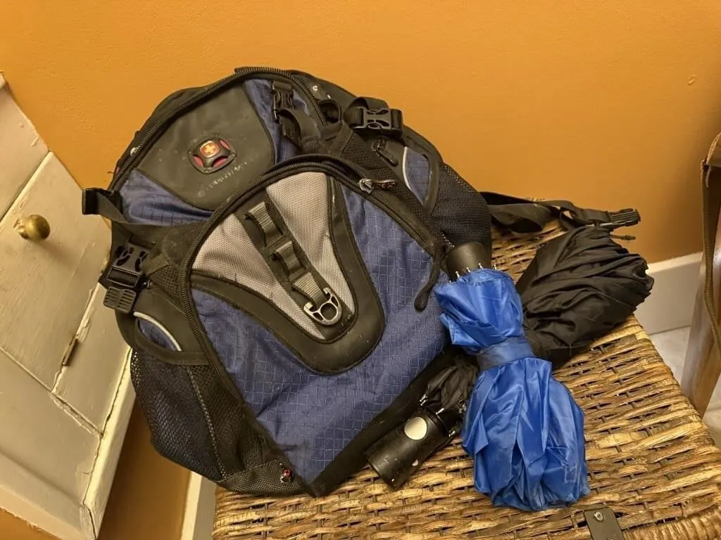 Swiss Gear backpack, baseball caps, umbrellas,