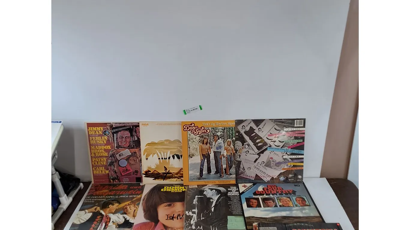 (12+) Vinyl Records, Johnny Horton, Donny Osmond, Eddy Arnold, Jim Hinkle