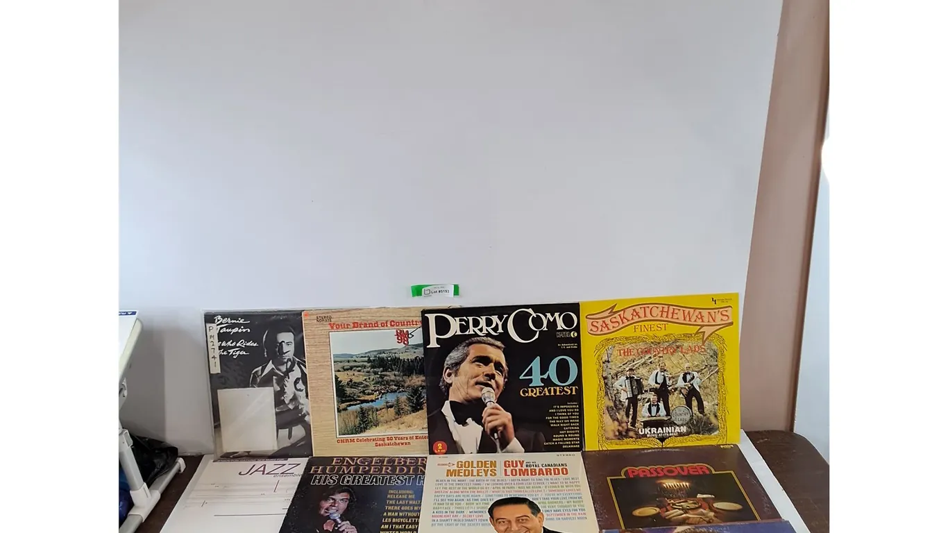 (12+) Vinyl Records, Paul Anka, Bobby Winton, Perry Como, Guy Lombardo