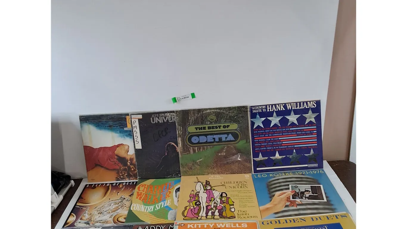 (12+) Vinyl Records, Irish Rovers, Kitty Wells, Martin Denny, Leo Kottke, Charlie Walker