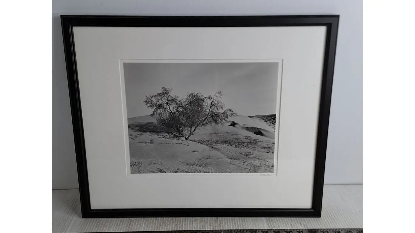 Framed "Great Sandhills" Photograph by Al Hartley - 21" x 17.5"