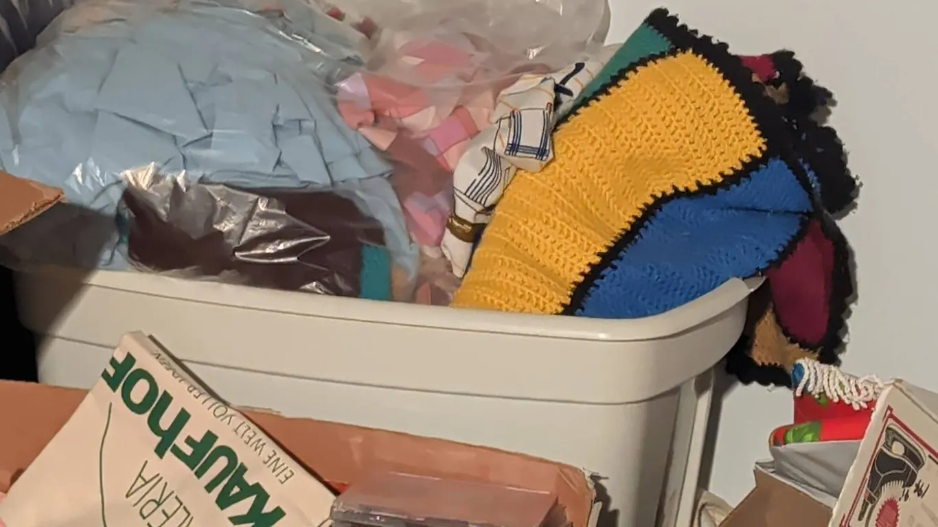 Misc Mystery Collection With Books, Plush Toys, CDs, Household Items and Textiles