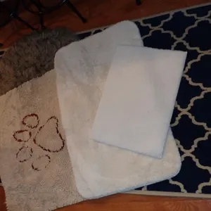 Floor Mats & Rug
