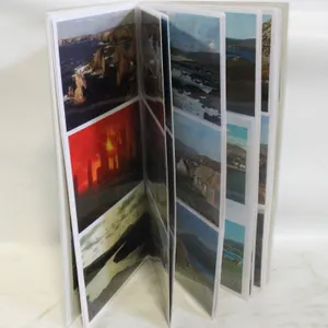 BOOK OF VINTAGE POSTCARDS