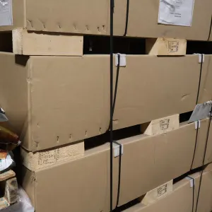Evolv Express Mobility Cart, New