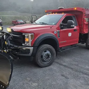 2019 Ford F550 Dump Truck with Plow and Sander