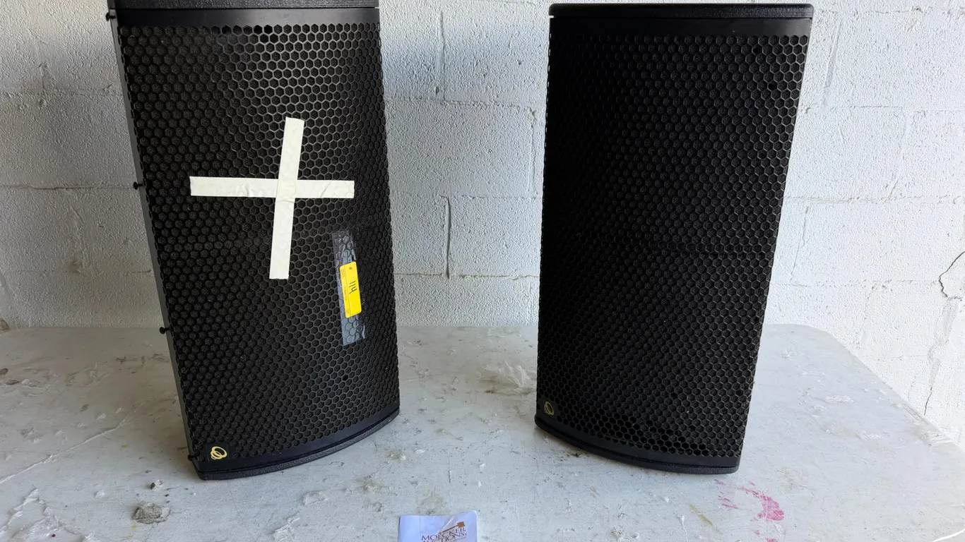 LOT CONSISTING OF (2) IDEA PRO AUDIO EXO12 WEDGE