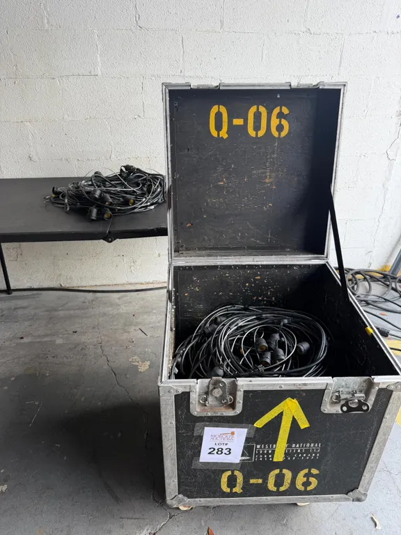 STRING LIGHTING 50' EACH INCLUDES ROAD CASE