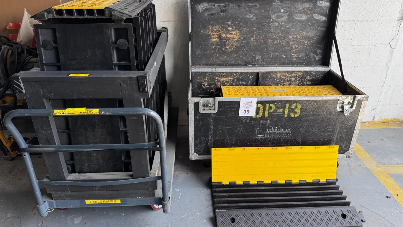 CABLE RAMP PROTECTORS 5 CHANNELS
