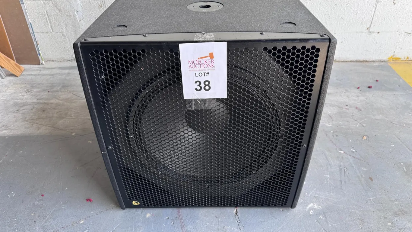 IDEA PRO AUDIO BASSO 18 W INDOOR SUBWOOFER